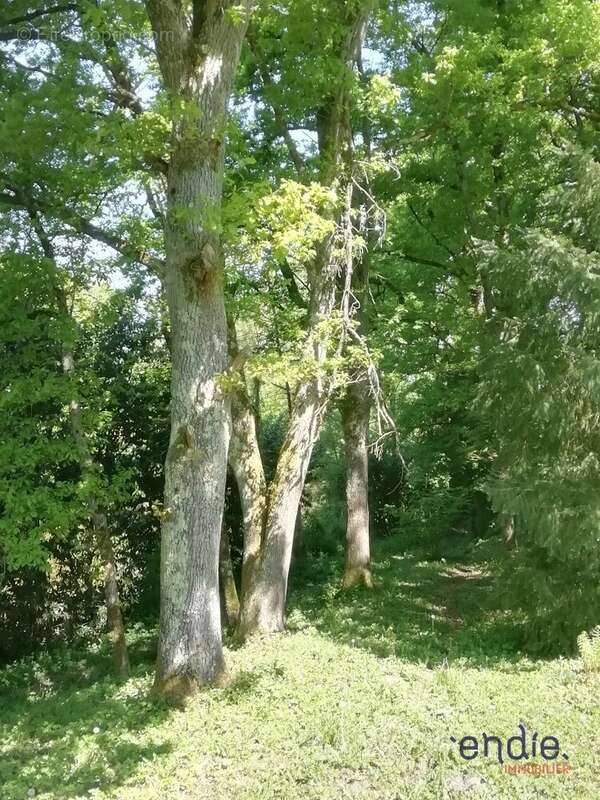 Maison à MORNAY-SUR-ALLIER