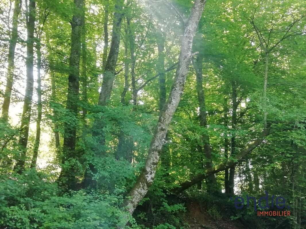 Maison à MORNAY-SUR-ALLIER