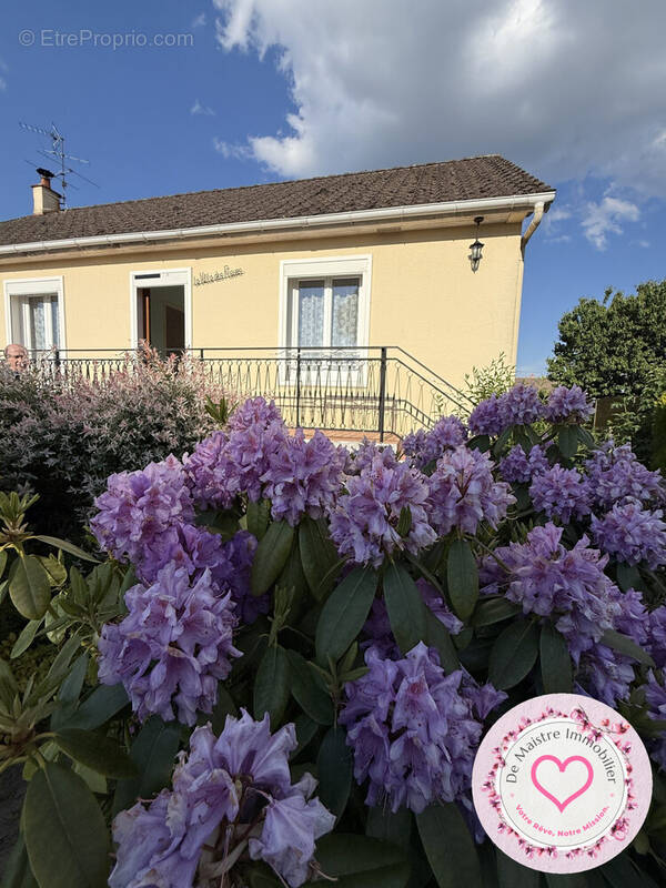 Maison à SAINT-PERE-SUR-LOIRE