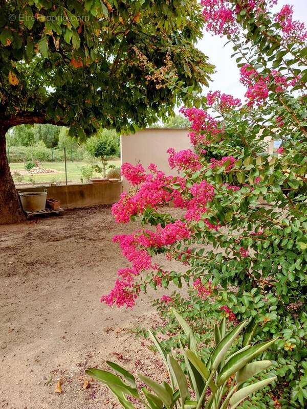 Maison à CORCELLES-EN-BEAUJOLAIS