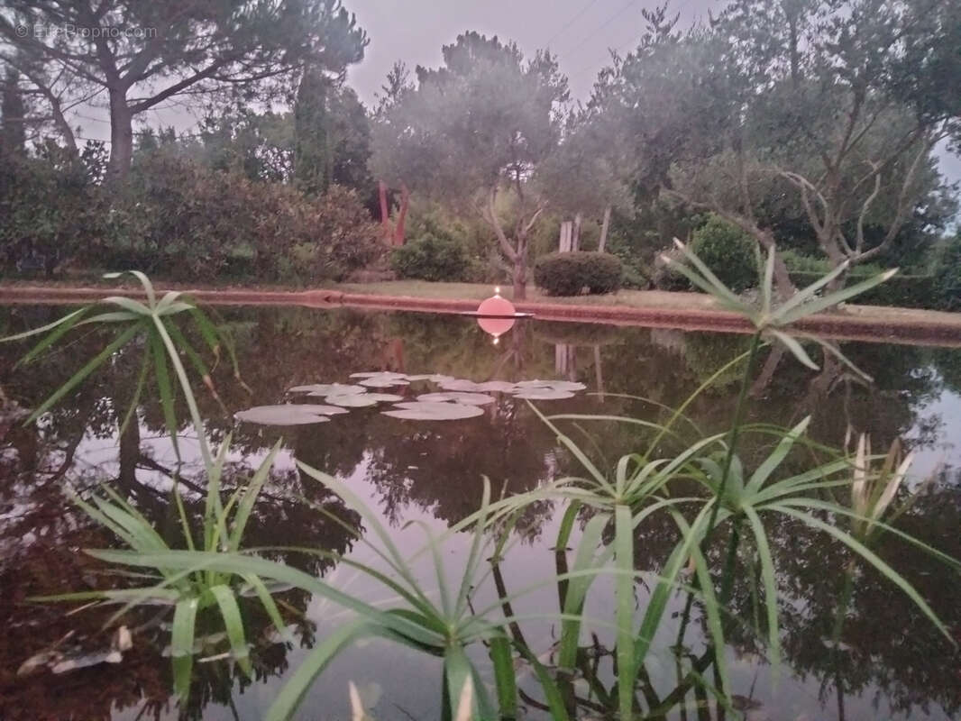 Maison à L&#039;ISLE-EN-DODON