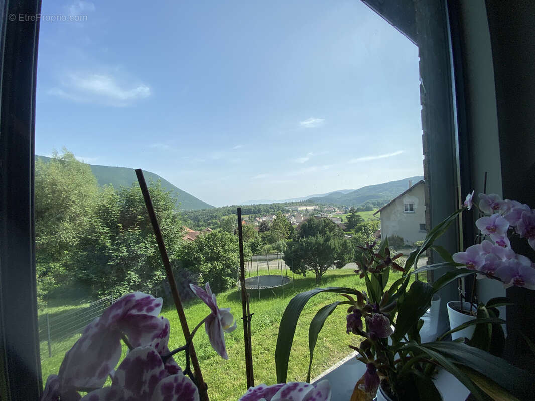 Maison à CHAMPFROMIER