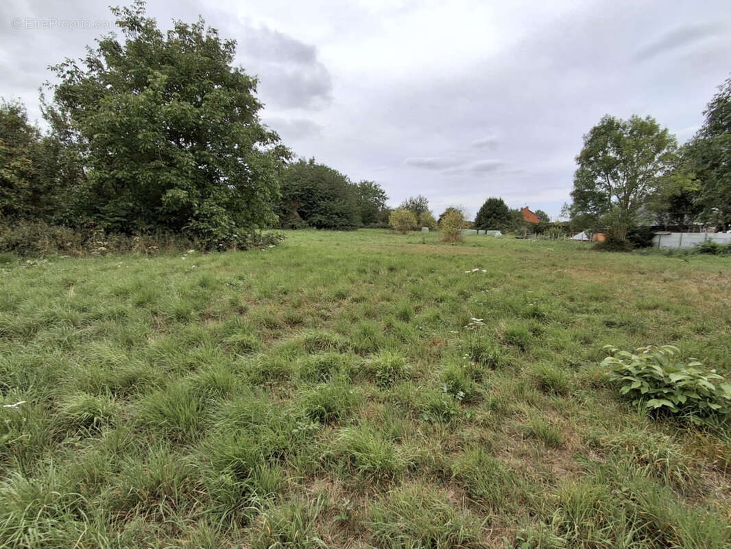 Terrain à SAINT-HILAIRE-COTTES
