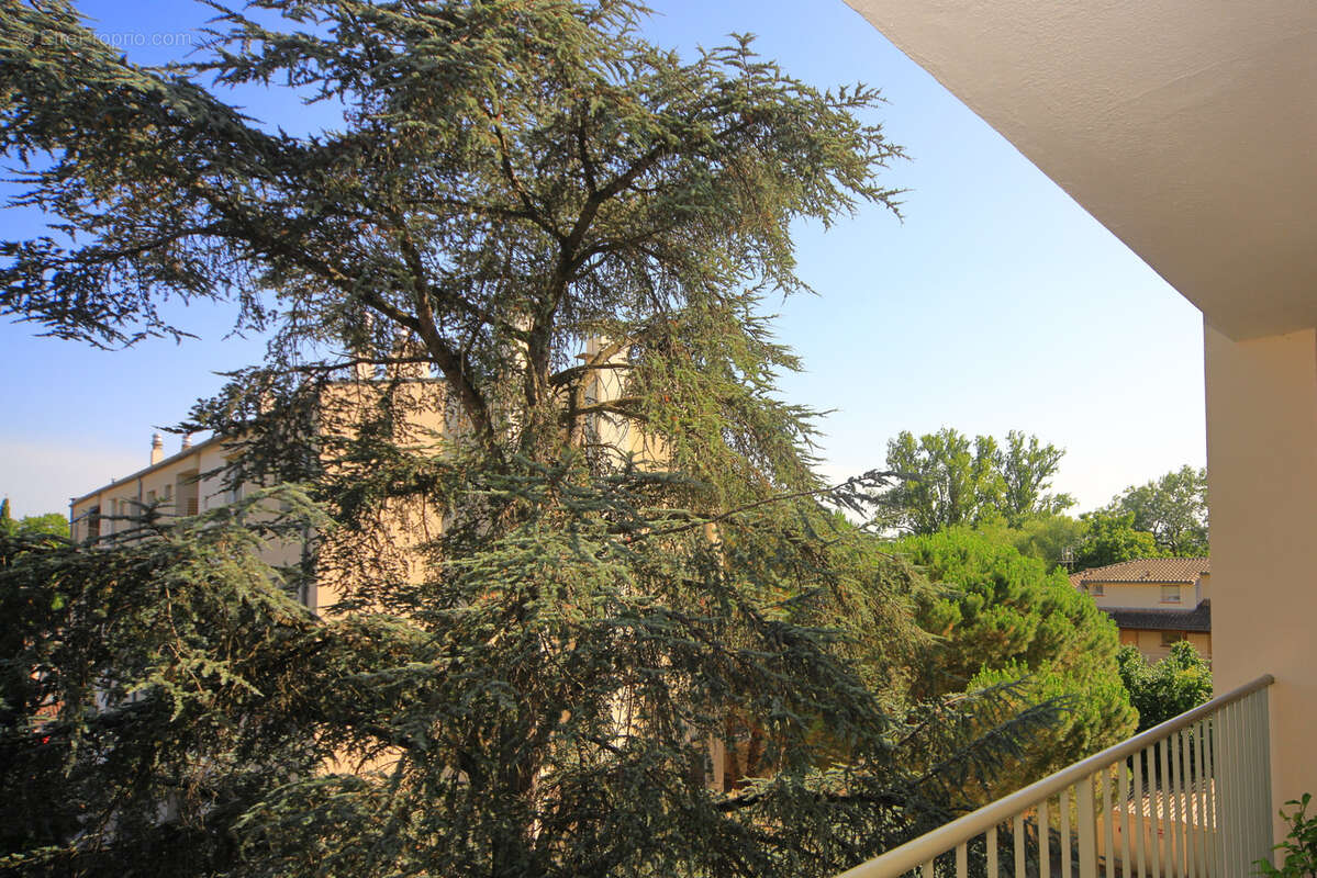 Appartement à MURET