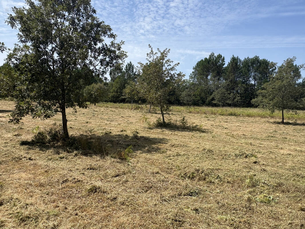 Terrain à MONT-DE-MARSAN