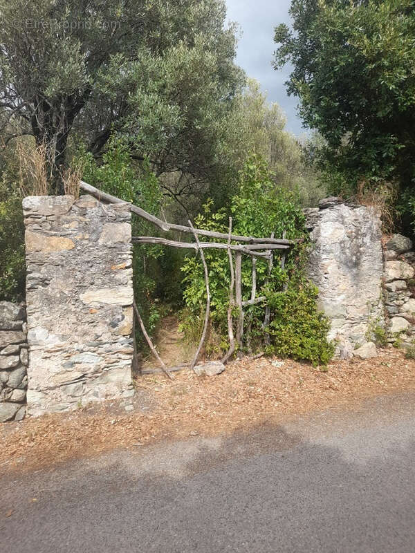 Terrain à BARBAGGIO