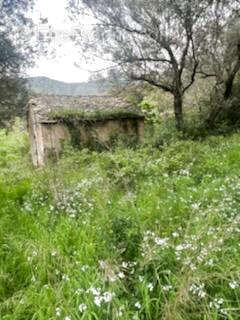 Terrain à BARBAGGIO