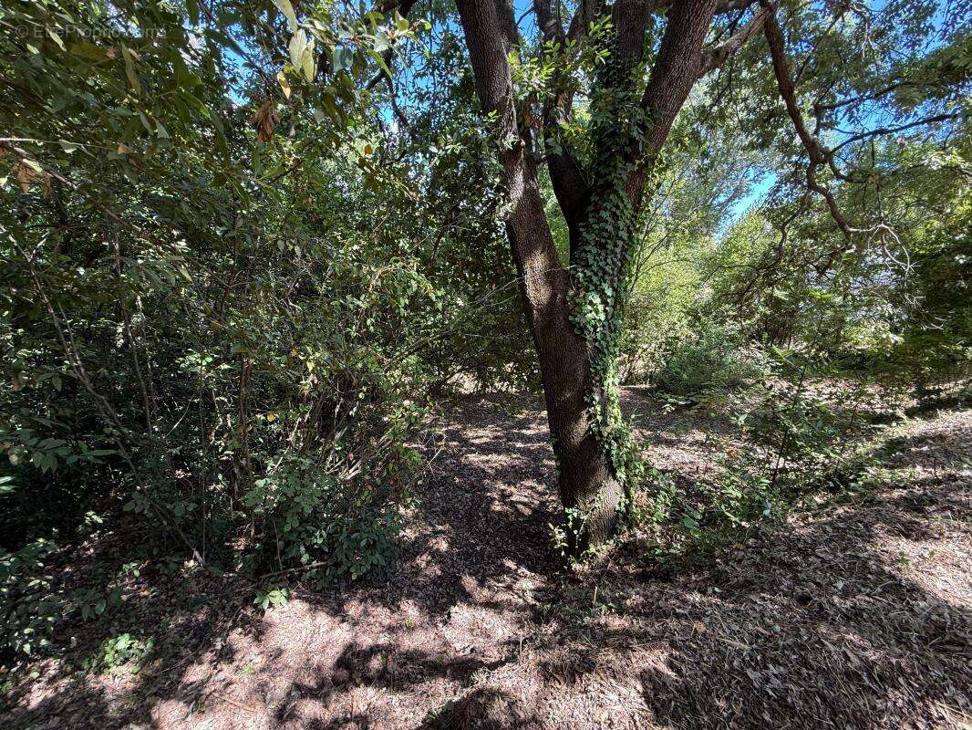 Appartement à LA COLLE-SUR-LOUP