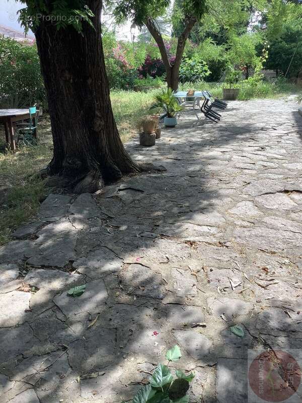 Maison à CANAULES-ET-ARGENTIERES
