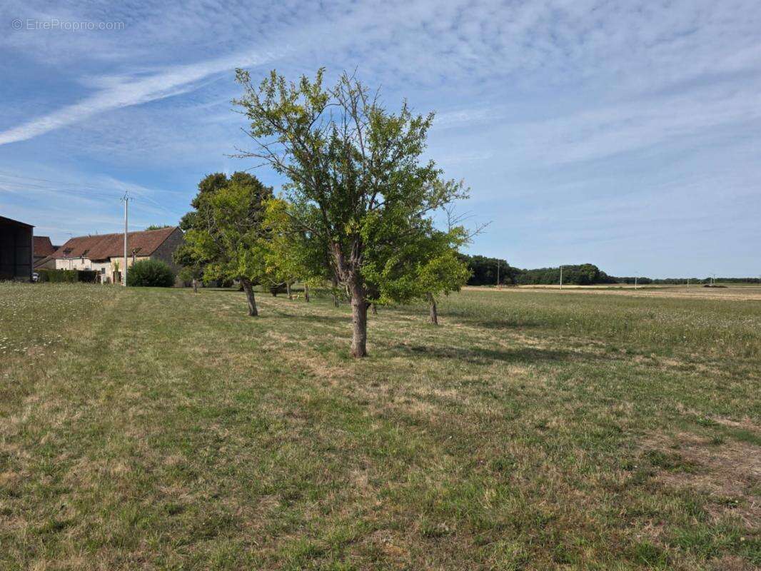 Maison à POULIGNY-SAINT-PIERRE