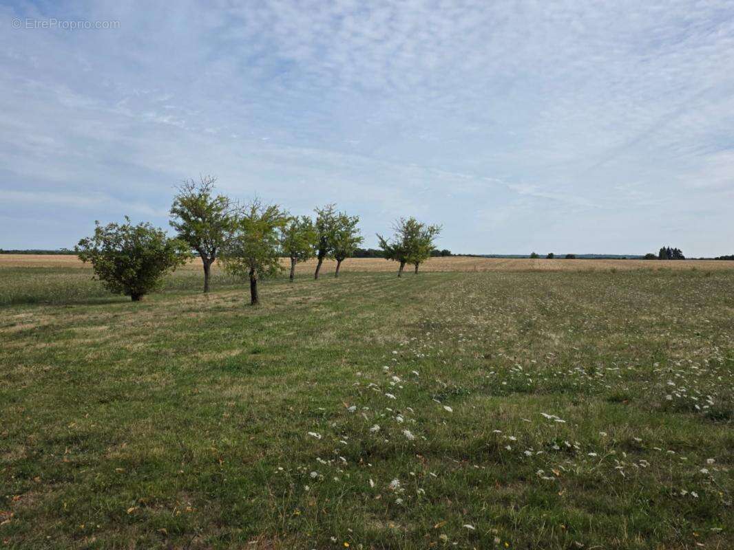Maison à POULIGNY-SAINT-PIERRE