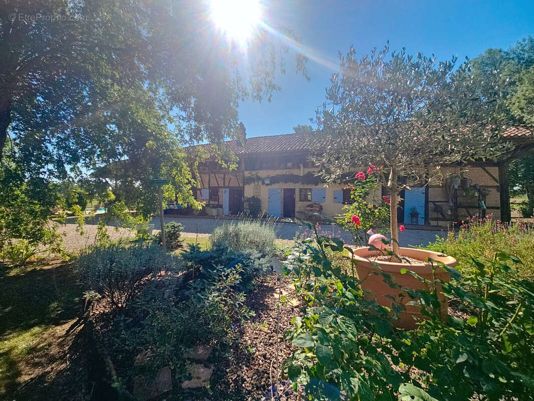 Maison à MONTREVEL-EN-BRESSE