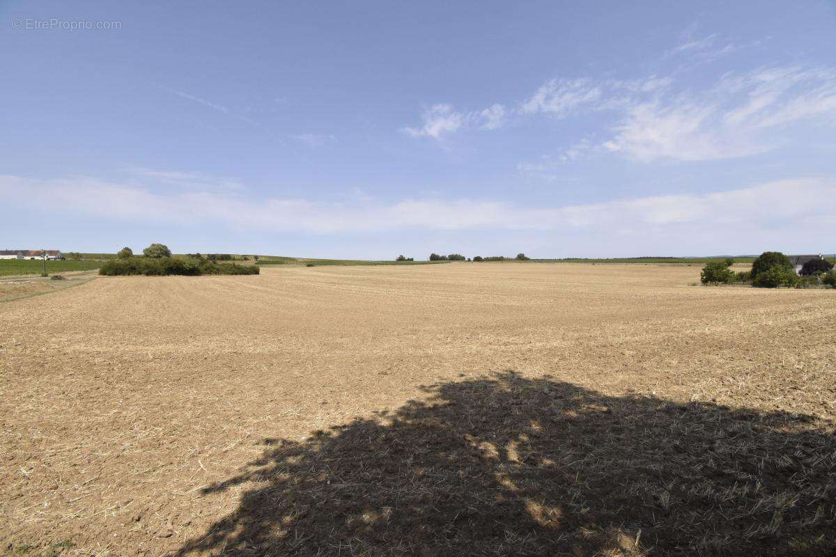 Maison à SAINT-ANDELAIN