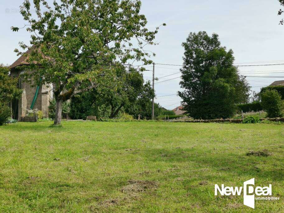 Terrain à LARRINGES