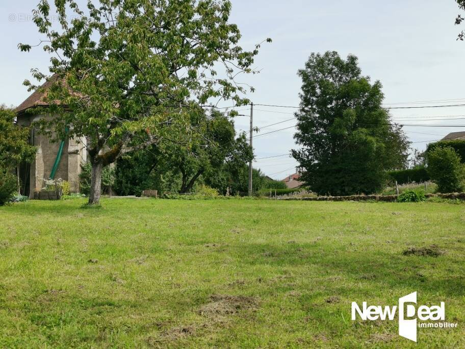 Terrain à LARRINGES