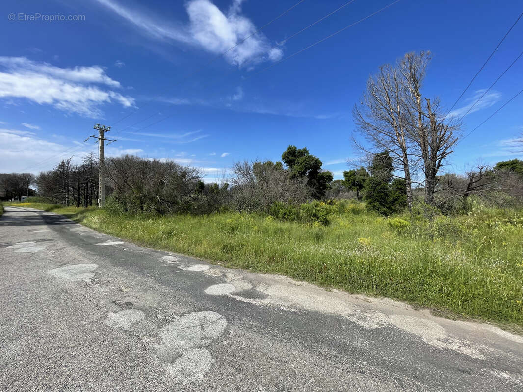 Terrain à ARGELES-SUR-MER