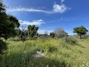 Terrain à ARGELES-SUR-MER
