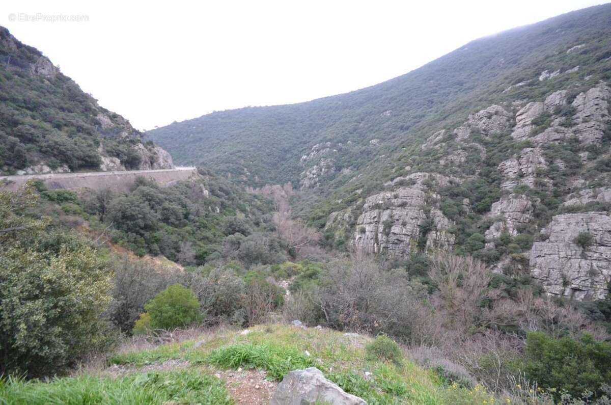 Maison à SAINT-PONS-DE-THOMIERES