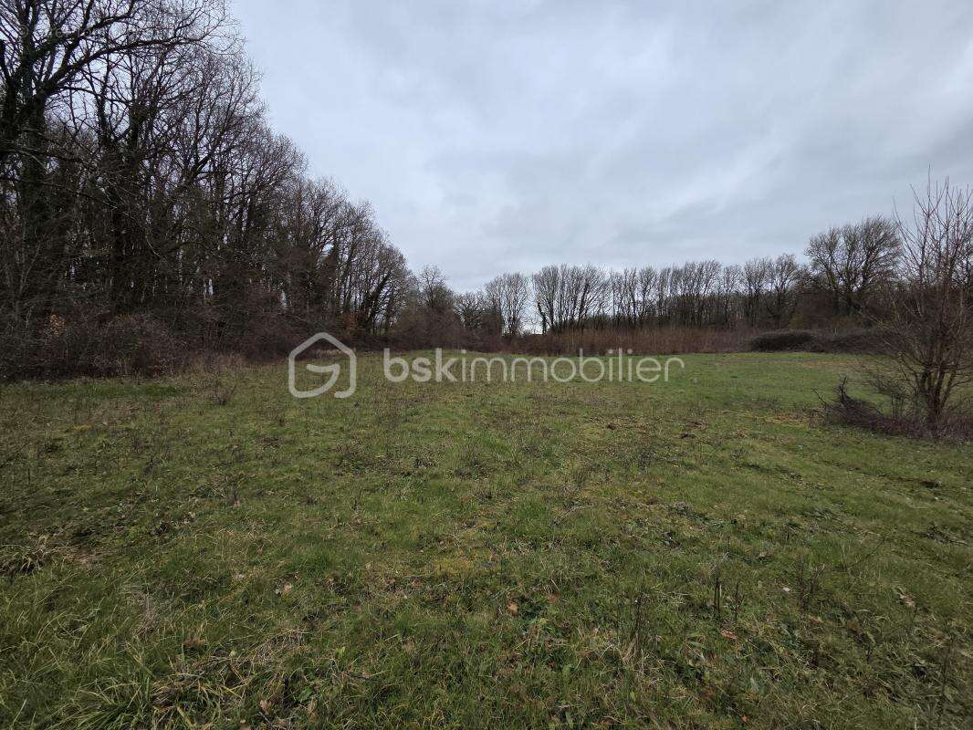 Terrain à BLANZAY