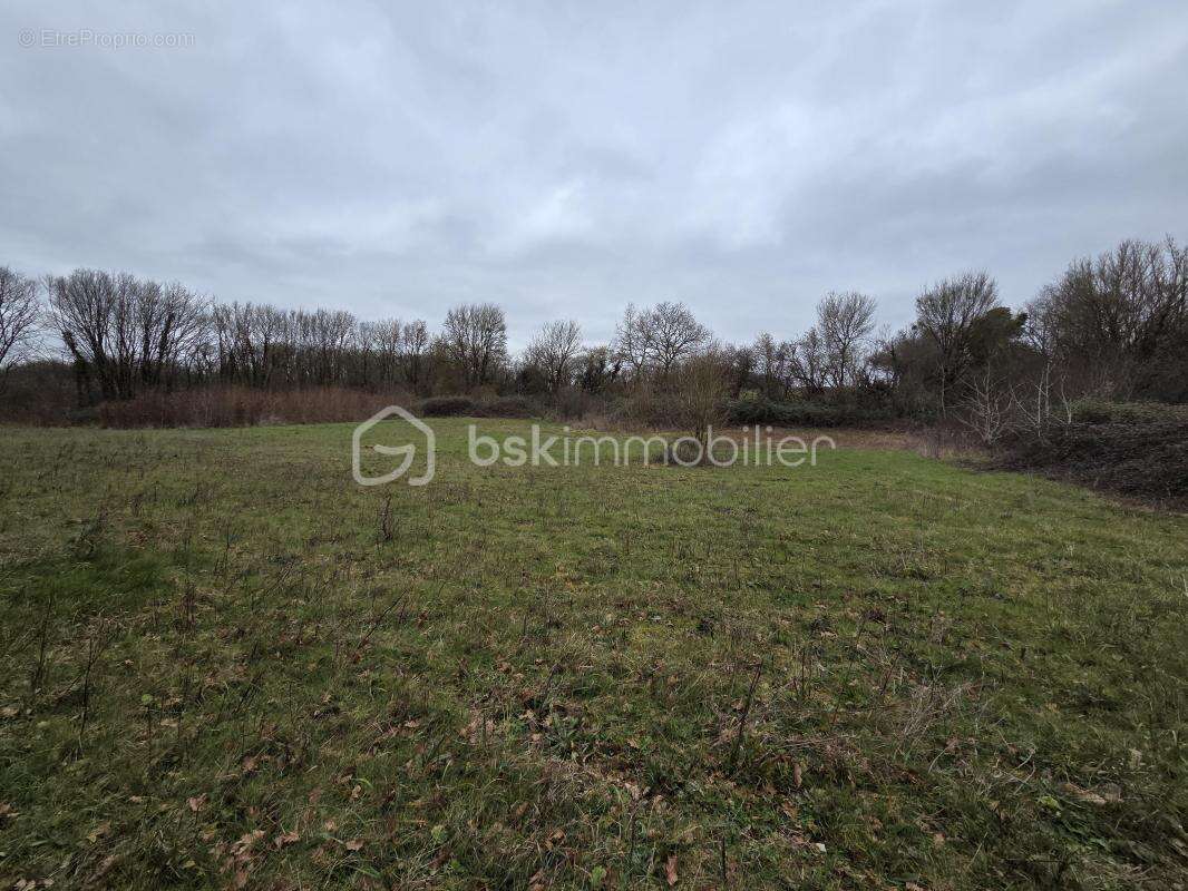 Terrain à BLANZAY