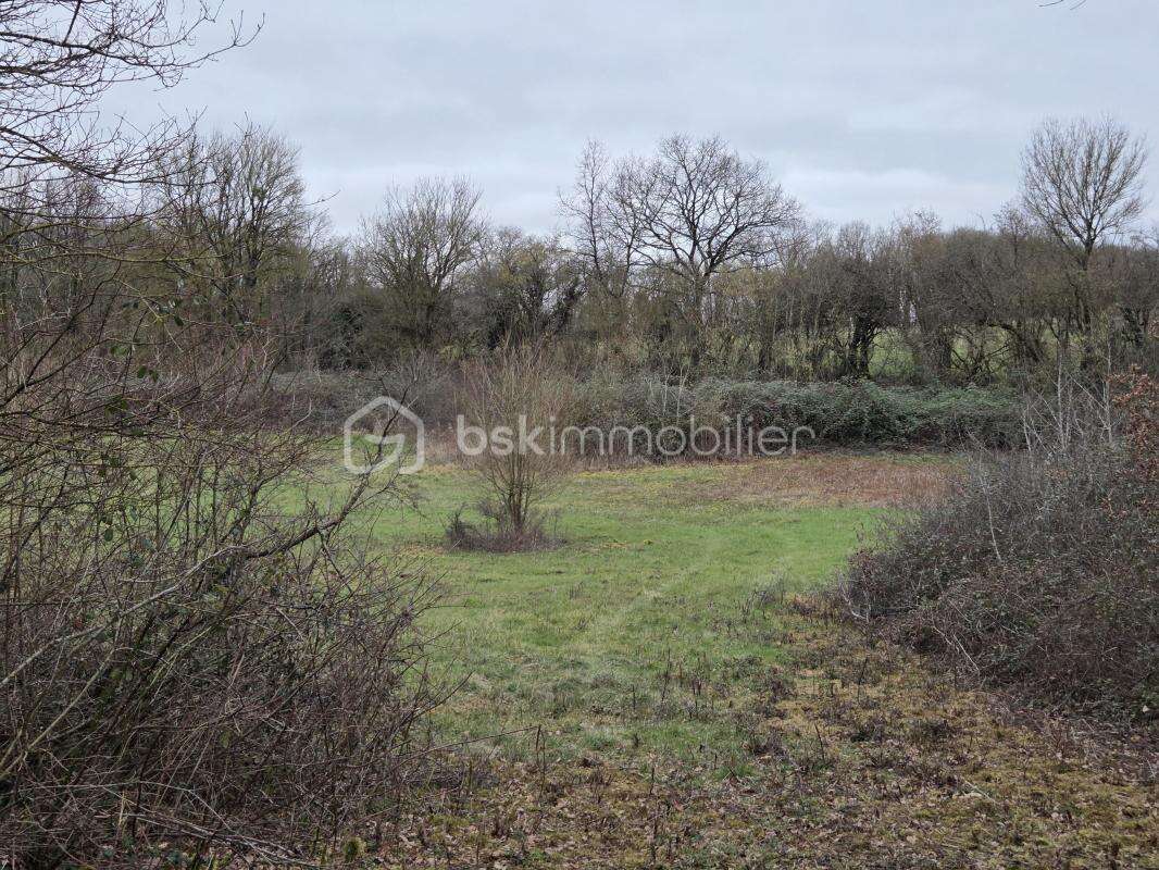 Terrain à BLANZAY