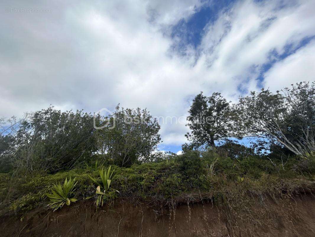 Terrain à SAINT-DENIS