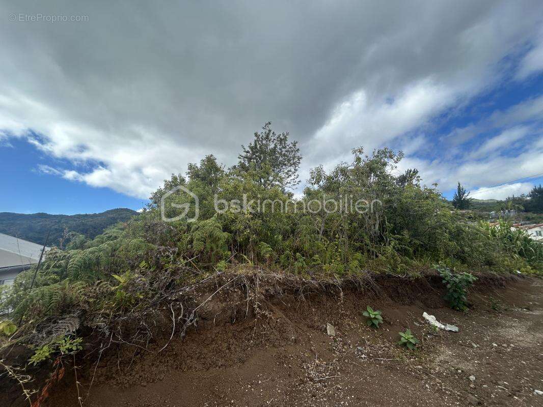 Terrain à SAINT-DENIS