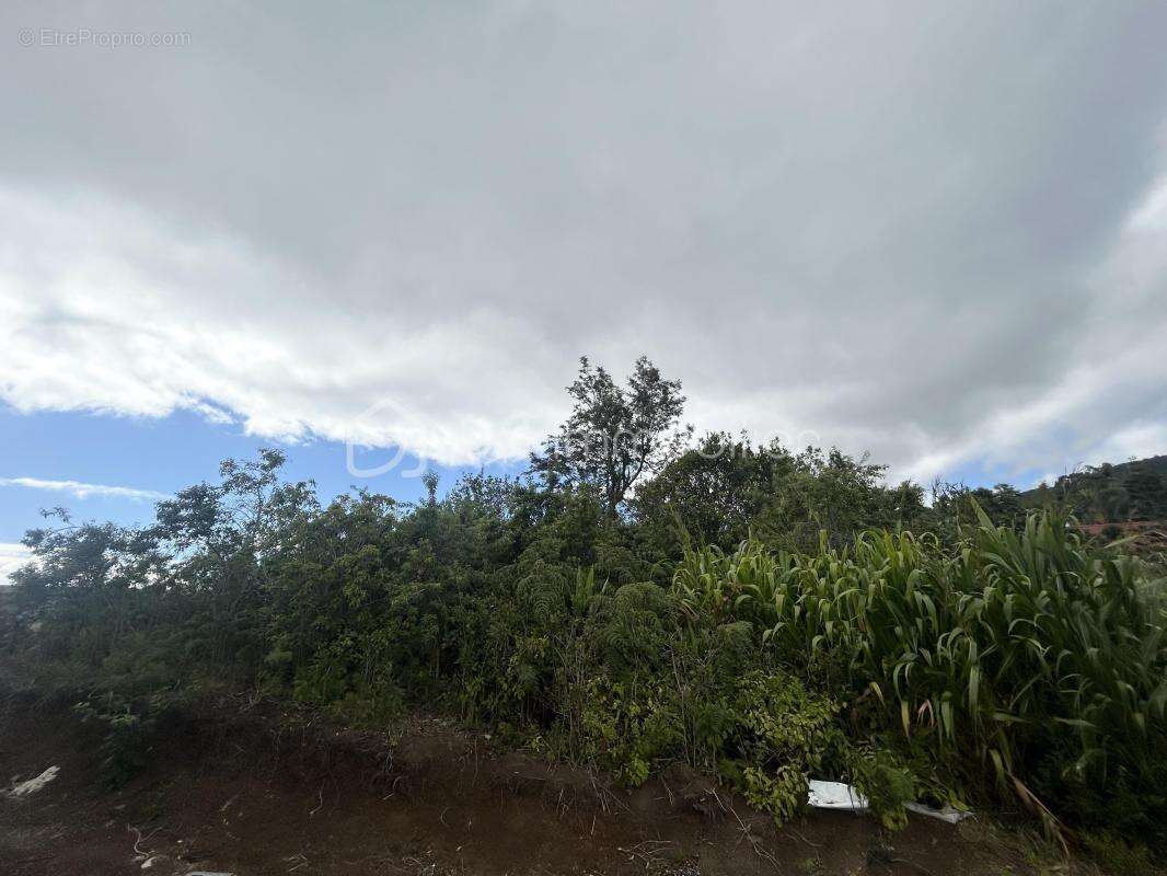 Terrain à SAINT-DENIS