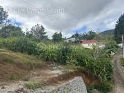 Terrain à SAINT-DENIS