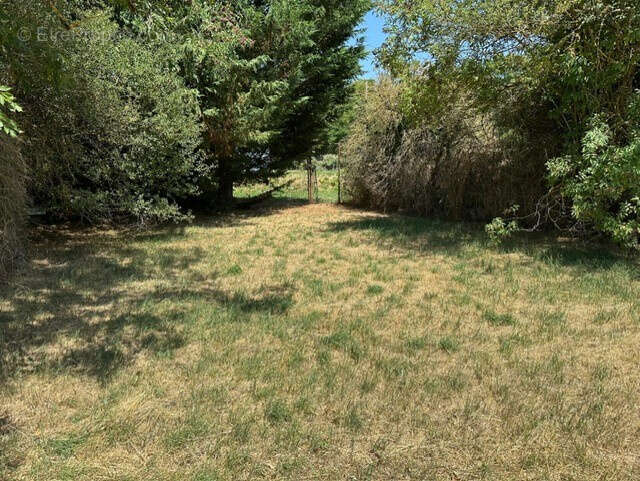 Terrain à LE CAYLAR