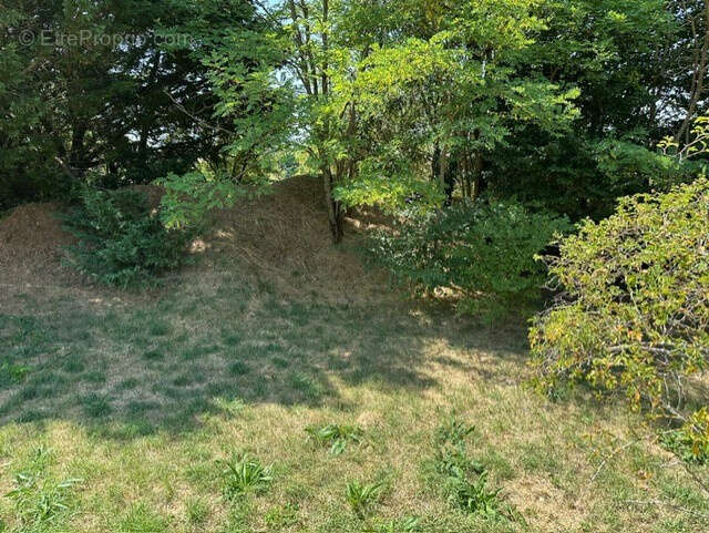 Terrain à LE CAYLAR