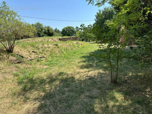 Terrain à LE CAYLAR