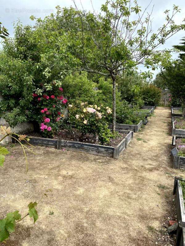 Maison à NOIRMOUTIER-EN-L'ILE