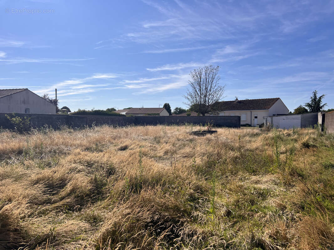 Terrain à ARTHON-EN-RETZ