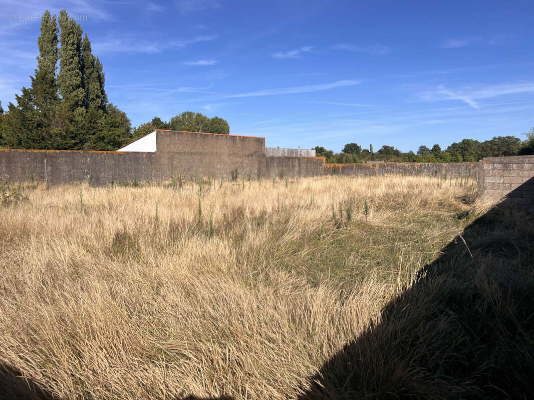 Terrain à ARTHON-EN-RETZ