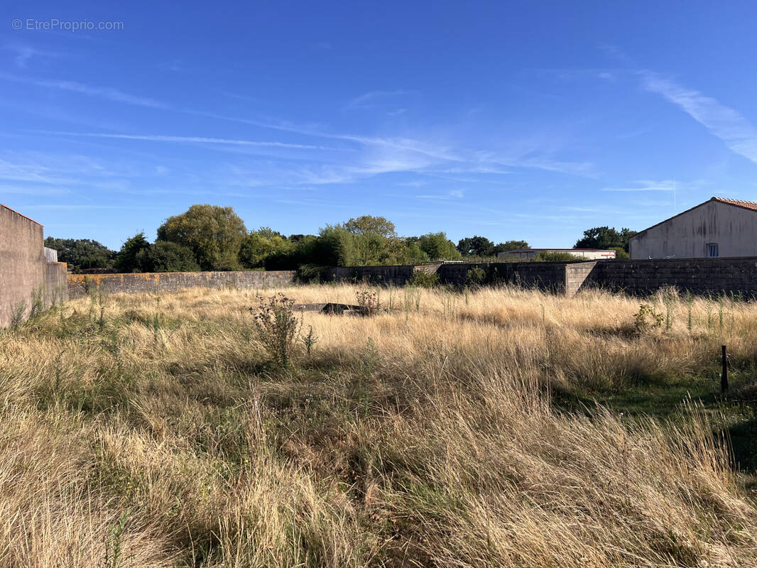 Terrain à ARTHON-EN-RETZ