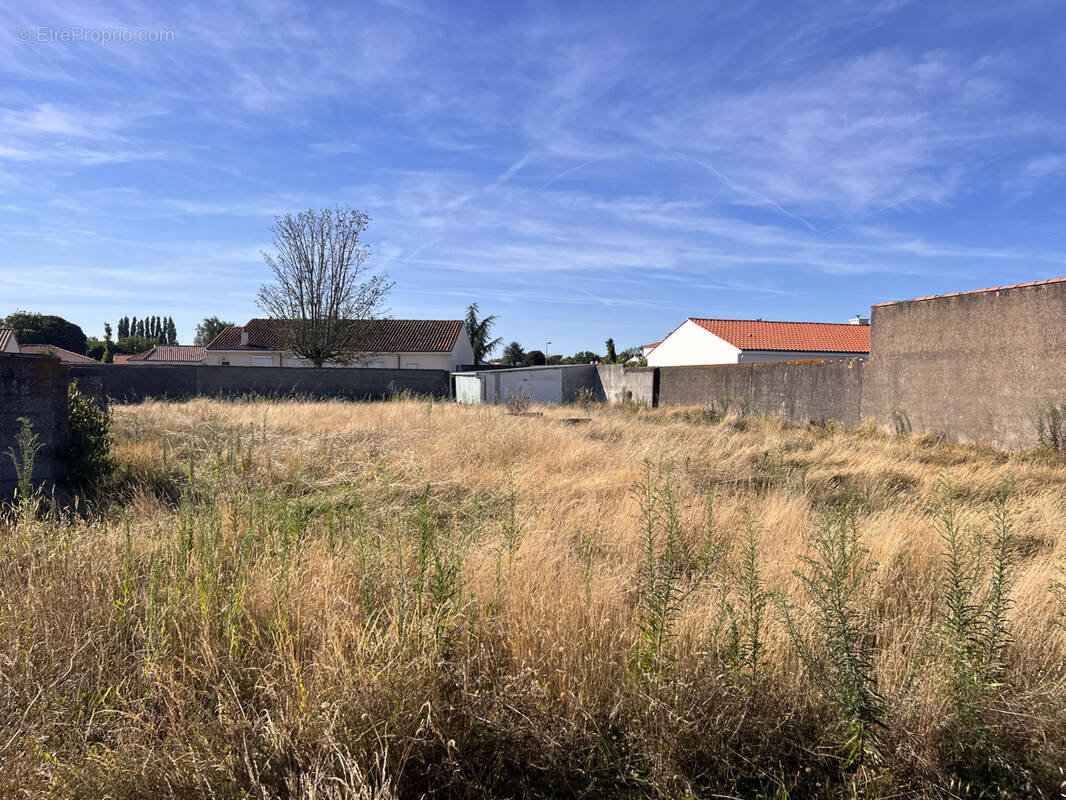 Terrain à ARTHON-EN-RETZ