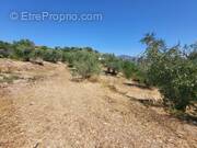 Terrain à LA TRINITE