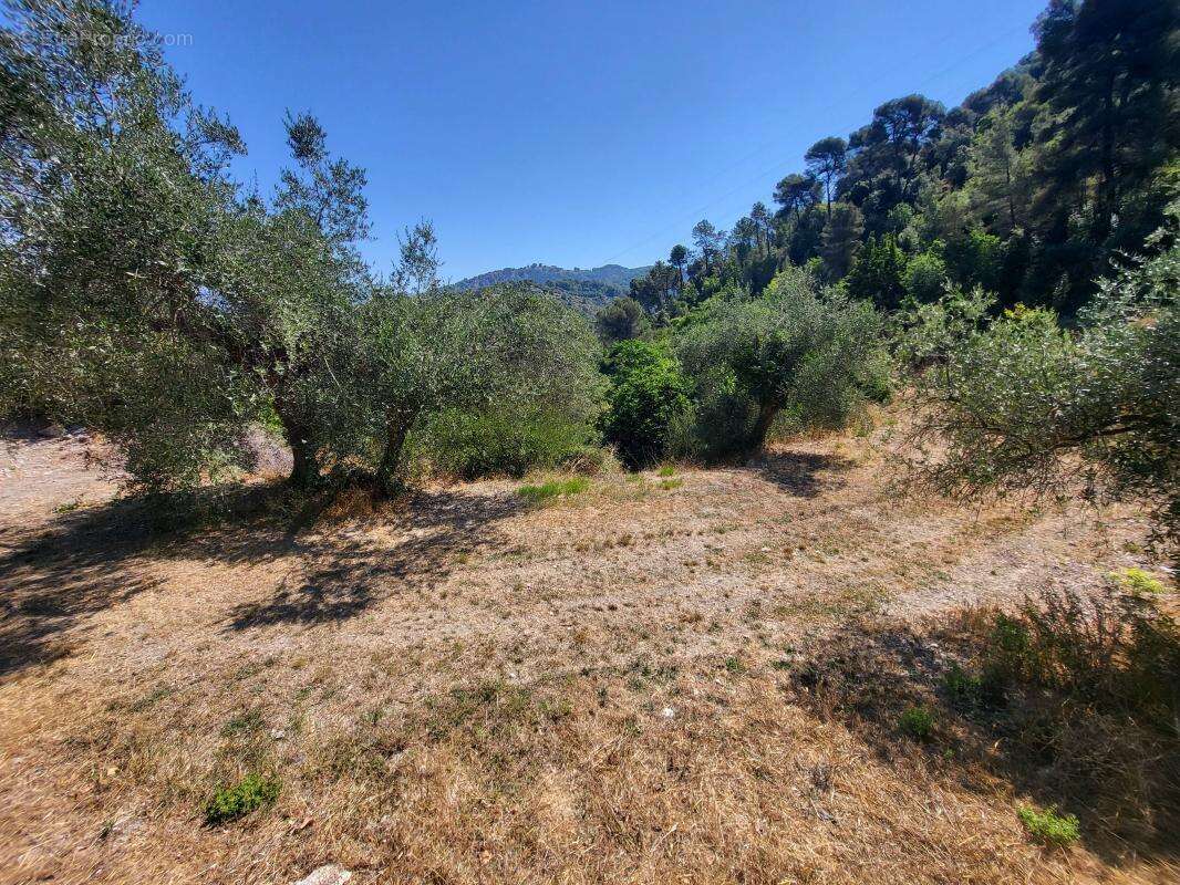 Terrain à LA TRINITE