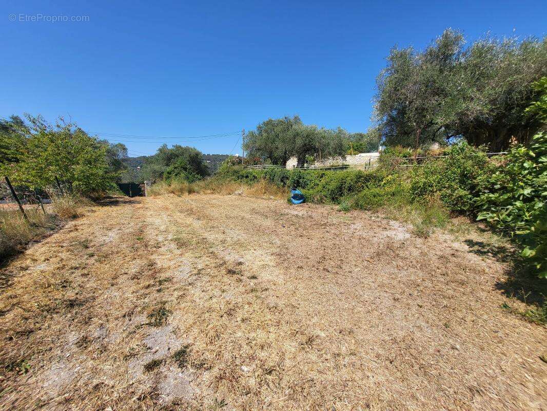 Terrain à LA TRINITE