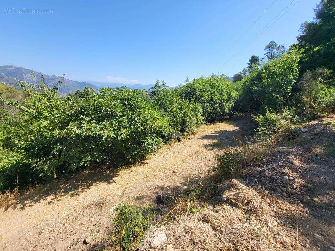 Terrain à LA TRINITE