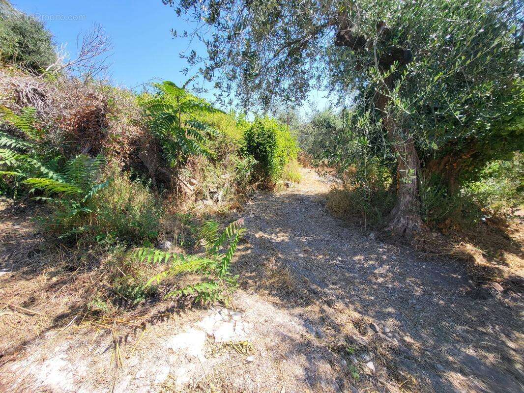 Terrain à LA TRINITE