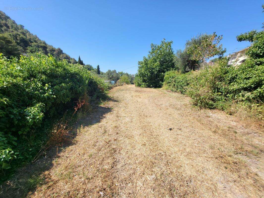 Terrain à LA TRINITE