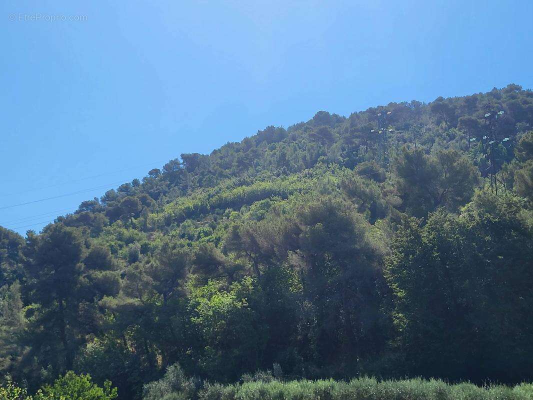 Terrain à LA TRINITE