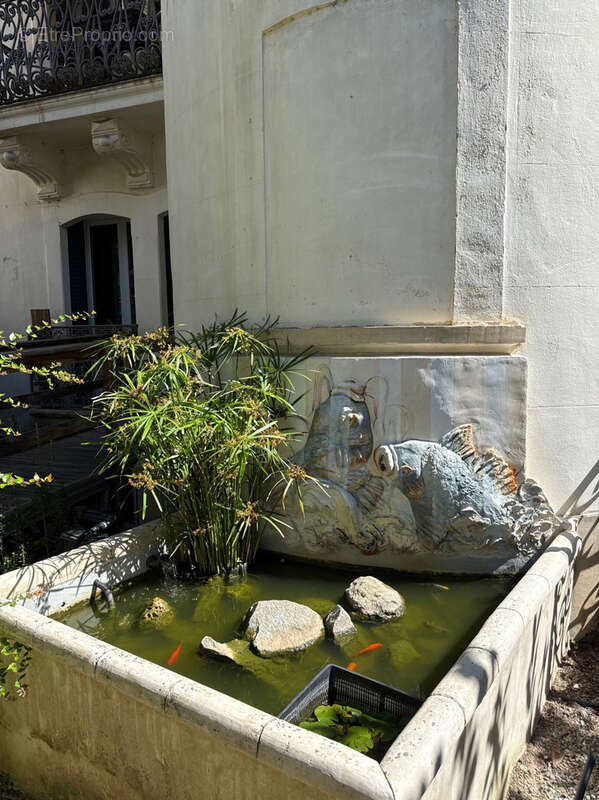 Appartement à AMELIE-LES-BAINS-PALALDA