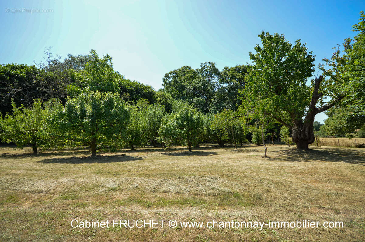 Maison à MOUILLERON-EN-PAREDS