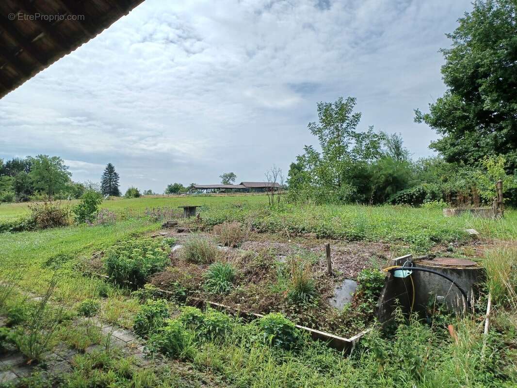 Maison à DIEFMATTEN