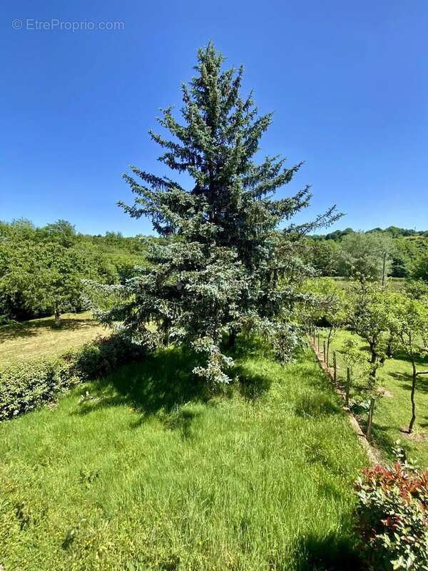Maison à COURDEMANCHE