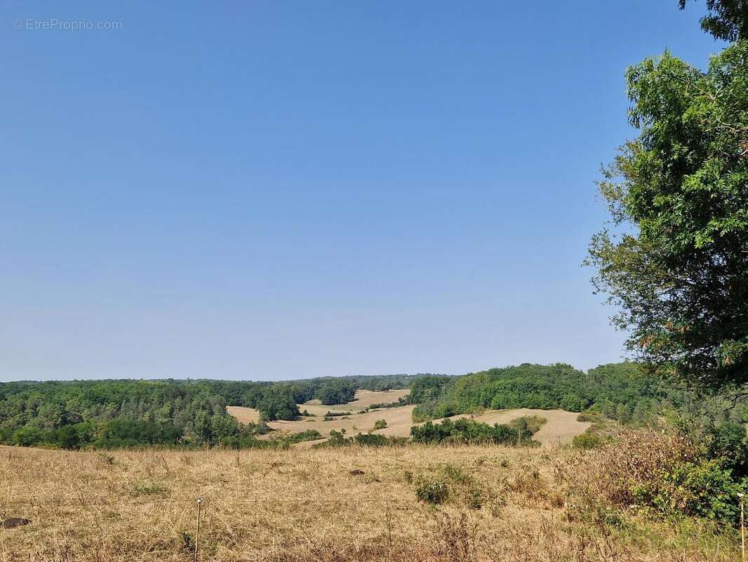 20250808162035 - Maison à SAINT-FELIX-DE-REILLAC-ET-MORTEMART