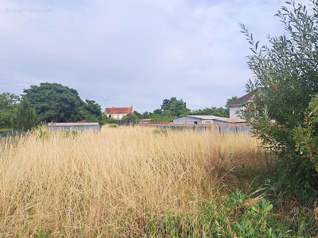 Terrain à CHATELLERAULT